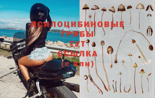 гашик Коряжма