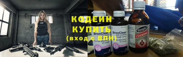 крисы Армянск